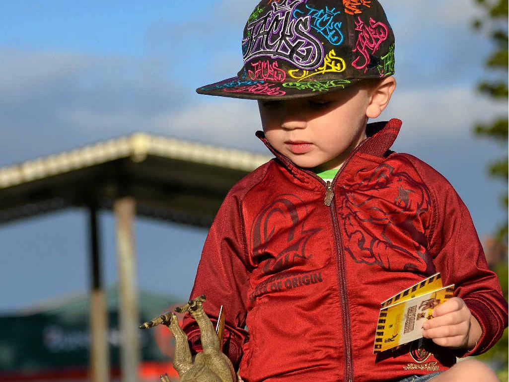 A ROARSOME DAY: Wylie Brackin is excited to swap his cards at the dinosaur get together this afternoon. A ROARSOME DAY: Wylie Brackin is excited to swap his cards at the dinosaur get together this afternoon.
